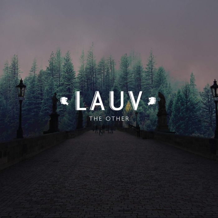 the Other(美國歌手Lauv單曲) the Other(美國歌手Lauv單曲)