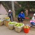烏龍村(雲南省昆明晉寧縣昆陽街道辦事處烏龍村委會) 烏龍村(雲南省昆明晉寧縣昆陽街道辦事處烏龍村委會)