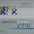 青藏高原低渦切變線年鑑1998