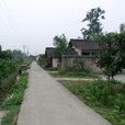 王橋村(紹興新昌縣大市聚鎮下轄村) 王橋村(紹興新昌縣大市聚鎮下轄村)