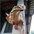 一指禪功(推拿手法) 一指禪功(推拿手法)