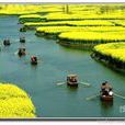 稻河(泰州區域河流)