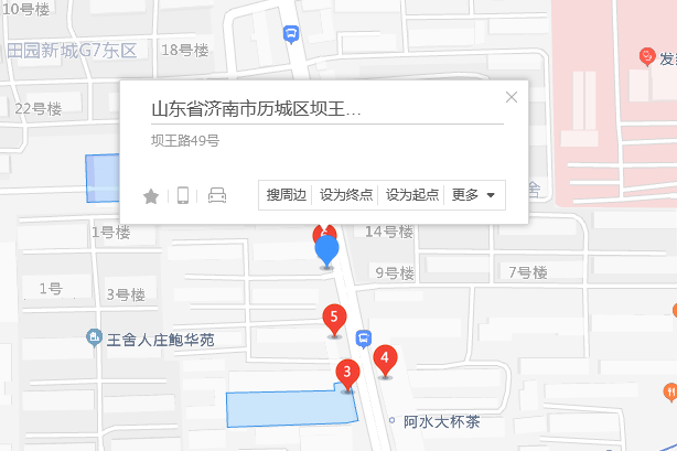 壩王路49號 壩王路49號