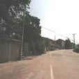 竹口村 竹口村