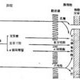 小腸吸收不良