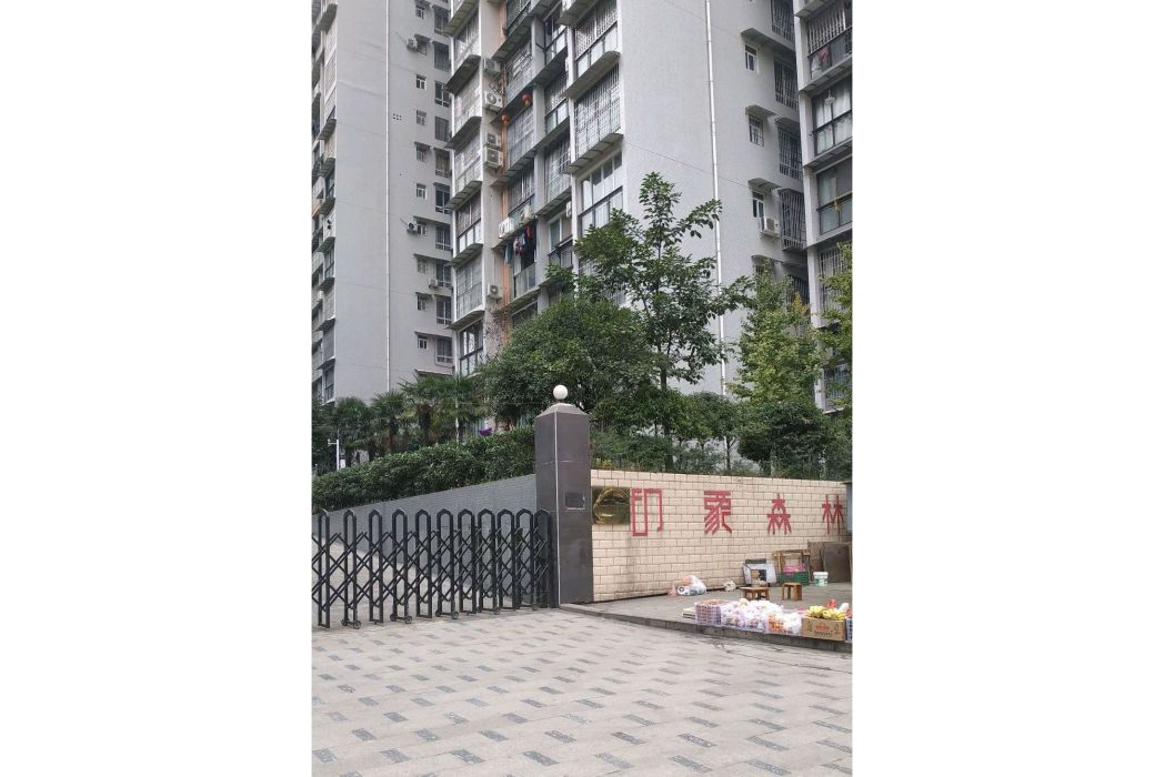 印象森林 印象森林