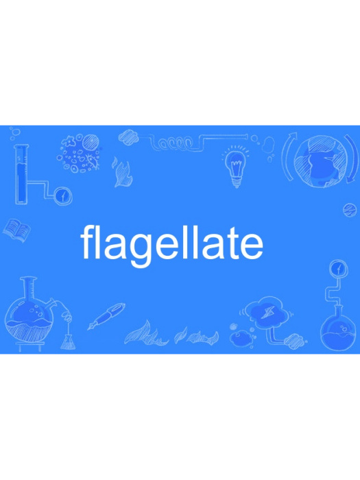 flagellate flagellate