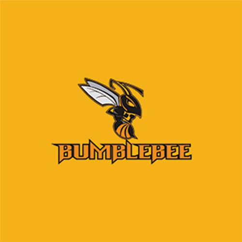 Bumblebee(廣州福可吉軸承有限公司商標) Bumblebee(廣州福可吉軸承有限公司商標)
