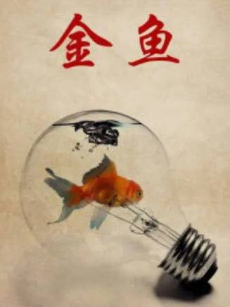 楊潞(楊曼琴) 楊潞(楊曼琴)