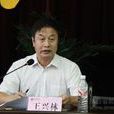 王興林(陝西國際商貿學院院長) 王興林(陝西國際商貿學院院長)