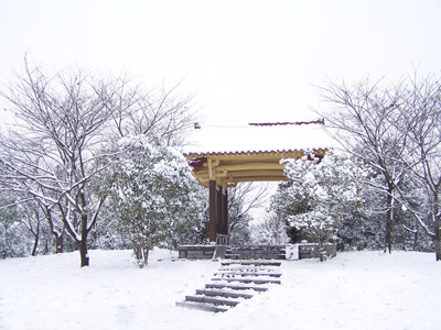 杏花公園