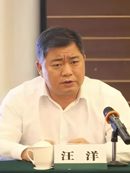 汪洋(江西省農村信用社聯合社審計部資深專家) 汪洋(江西省農村信用社聯合社審計部資深專家)