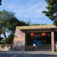 蓮蓬山公園 蓮蓬山公園