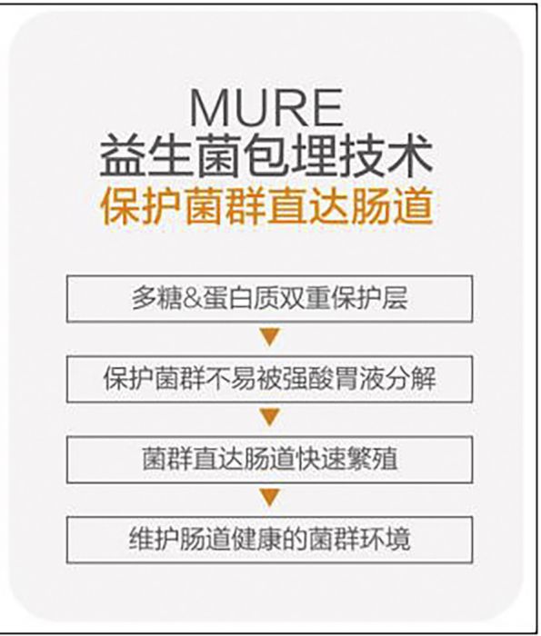 MURE技術 MURE技術