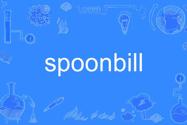 spoonbill spoonbill
