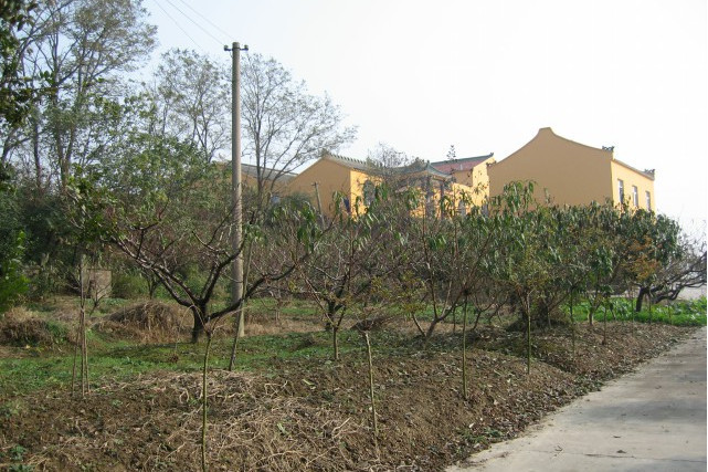 西河墩遺址 西河墩遺址