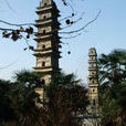 雙塔寺(詩歌) 雙塔寺(詩歌)