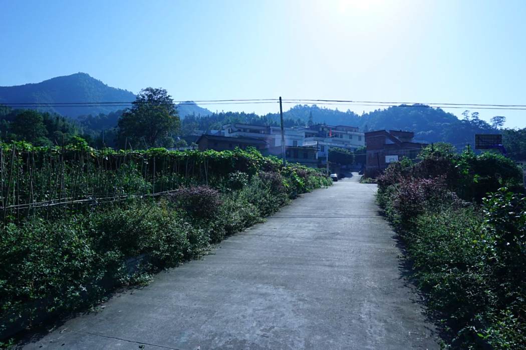 子溝村 子溝村