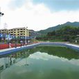 湘溪村(浙江省嘉興市桐鄉市洲泉鎮下轄村) 湘溪村(浙江省嘉興市桐鄉市洲泉鎮下轄村)