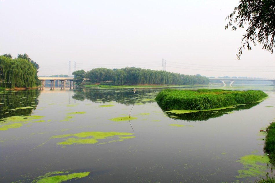 溫榆河與沙河水庫交匯濕地公園