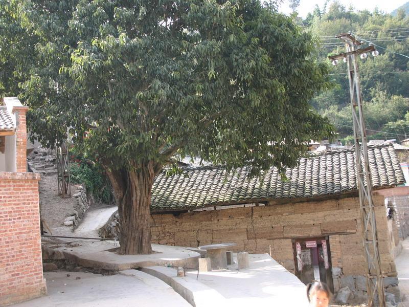 阿等寨村 阿等寨村