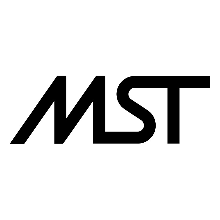 mst(金融公司)