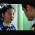 緊急迫降2 緊急迫降2