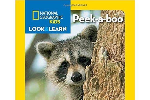 National Geographic Kids Look and Learn: Peek-a-boo National Geographic Kids Look and Learn: Peek-a-boo