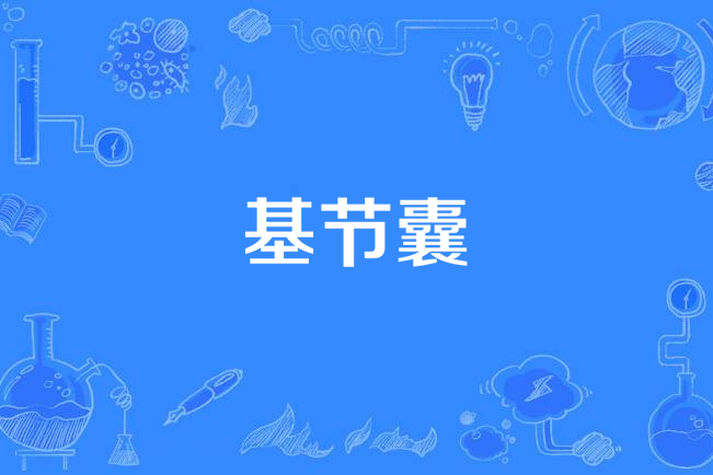 基節囊 基節囊
