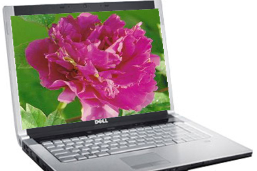 戴爾XPS M1530(戴爾XPSM1530) 戴爾XPS M1530(戴爾XPSM1530)