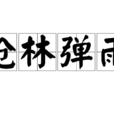 槍林彈雨(漢語成語) 槍林彈雨(漢語成語)