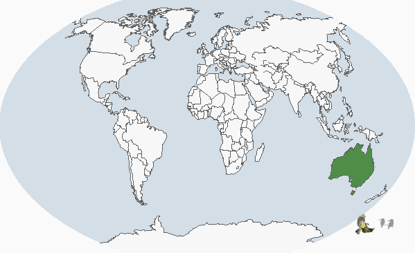 紅耳綠吸蜜鸚鵡(分布圖)
