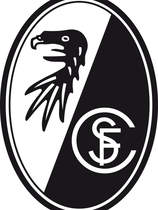 弗賴堡足球俱樂部(弗萊堡足球俱樂部)