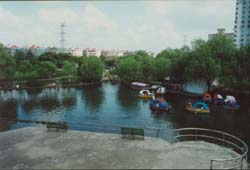 上海泗塘公園