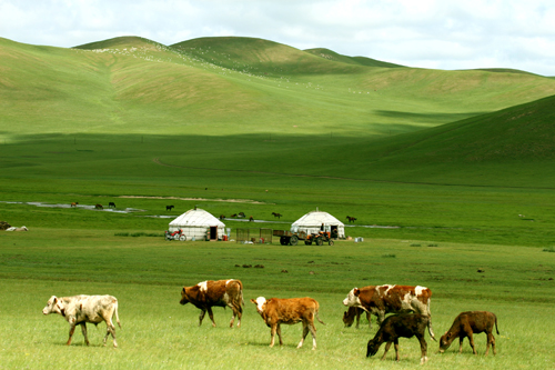 西烏珠穆沁旗風景