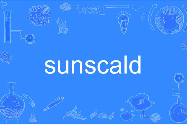 sunscald sunscald