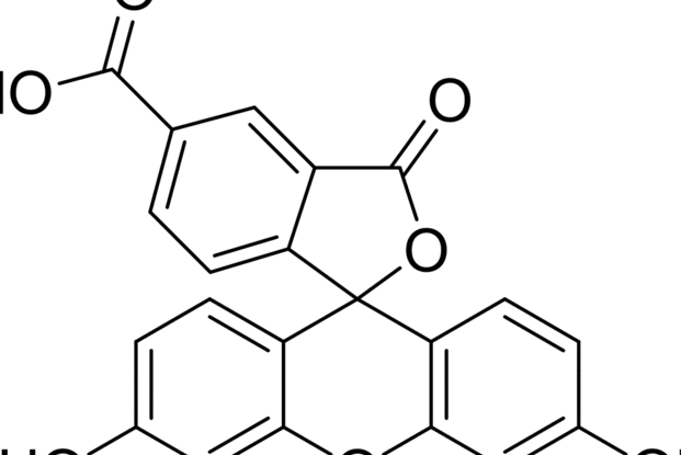 6-羧基螢光素 6-羧基螢光素