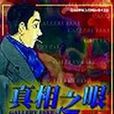 真相之眼(27)