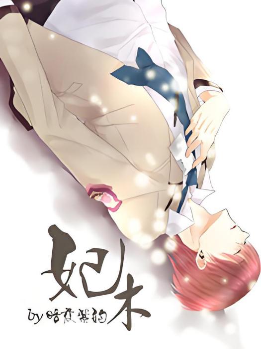 妃木 妃木