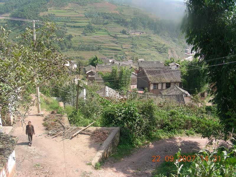 下柳樹村 下柳樹村