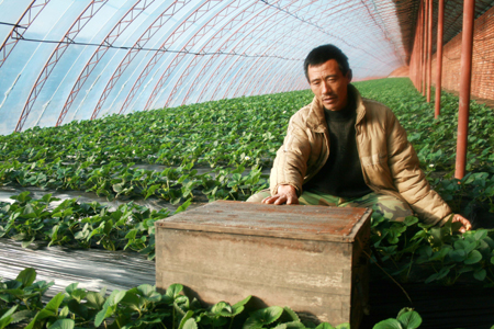 劉二堡鎮農業發展