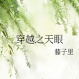 穿越之天眼 穿越之天眼