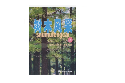 樹木風采 樹木風采