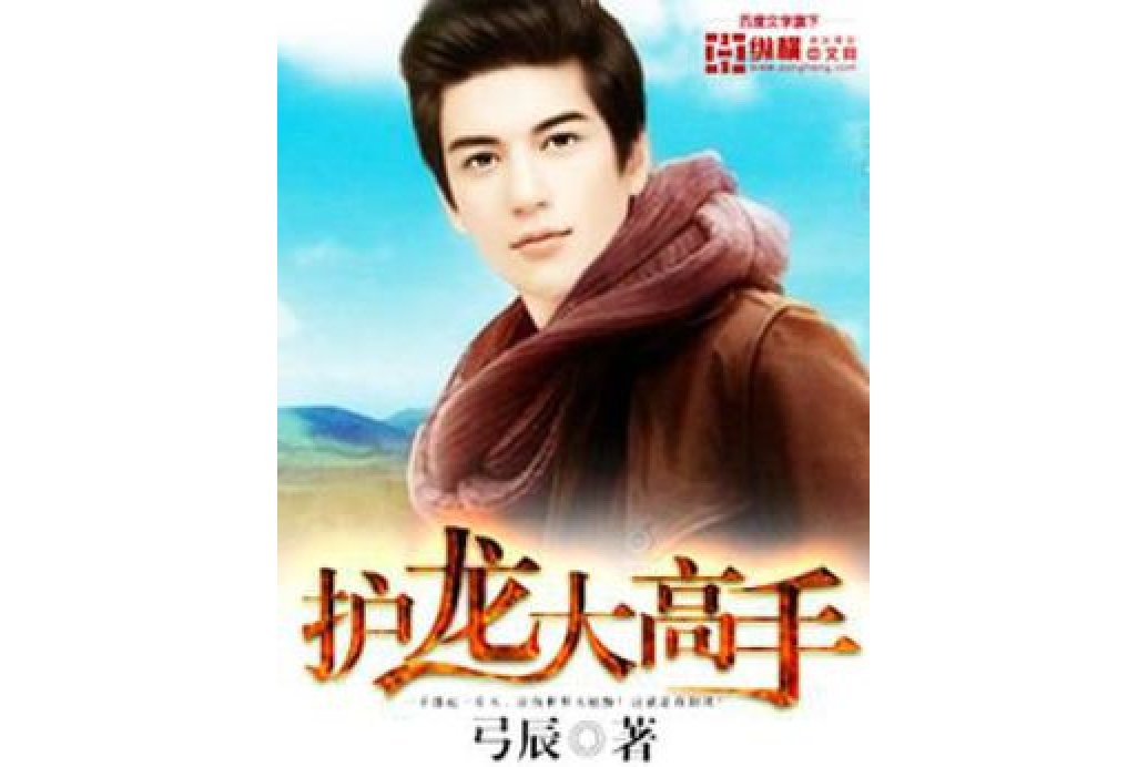 護龍大高手 護龍大高手