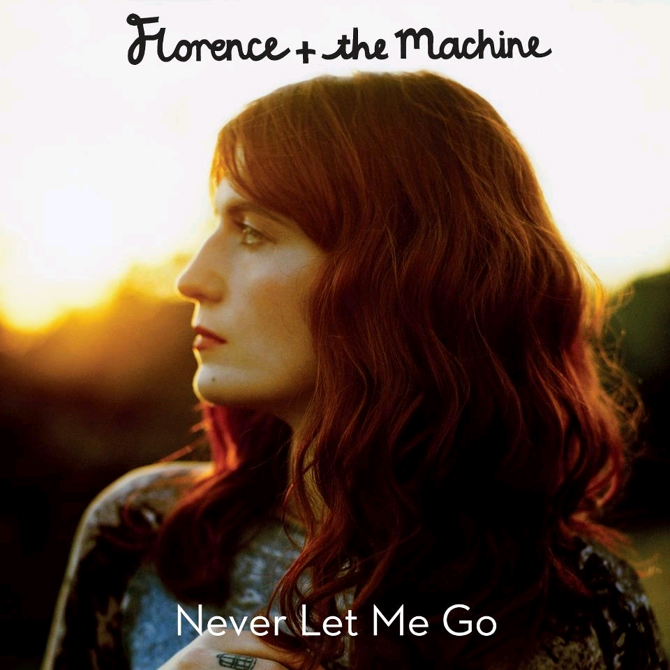 Never Let Me Go(Florence and the Machine演唱歌曲)