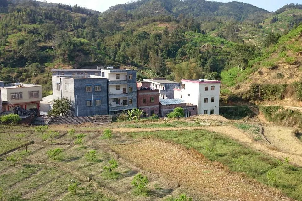 羅排國小 羅排國小
