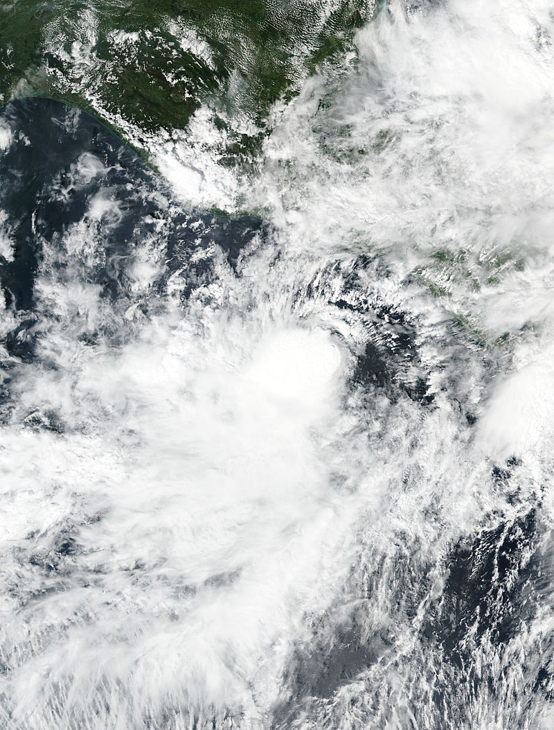 熱帶風暴塞爾瑪 衛星雲圖