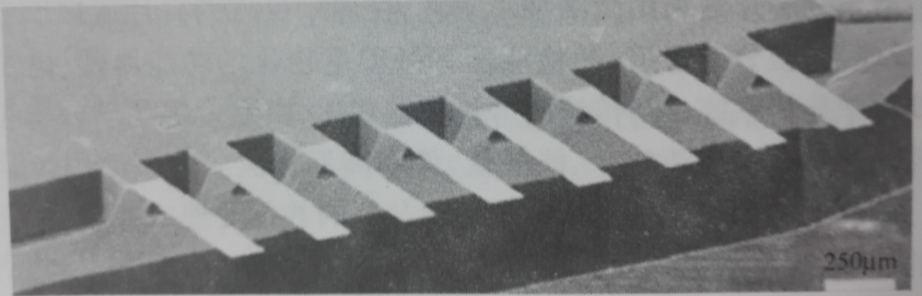 圖1-2 IBN蘇黎世實驗室研製的微陣列懸臂樑