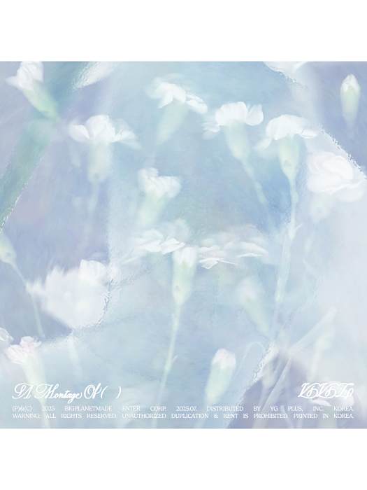 Citrus(2025年VIVIZ演唱的歌曲) Citrus(2025年VIVIZ演唱的歌曲)