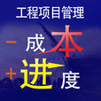 項目管理(管理學分支的學科)